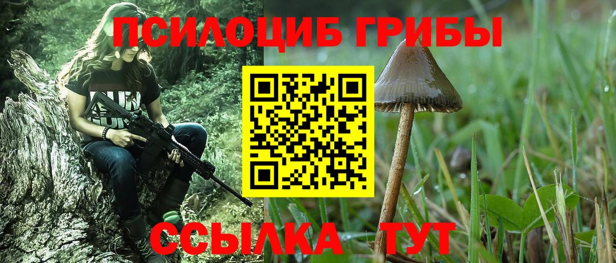 Псилоцибиновые грибы MAGIC MUSHROOMS Урус-Мартан